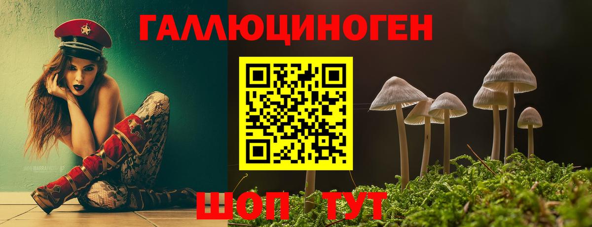 Псилоцибиновые грибы Psilocybe Камышин
